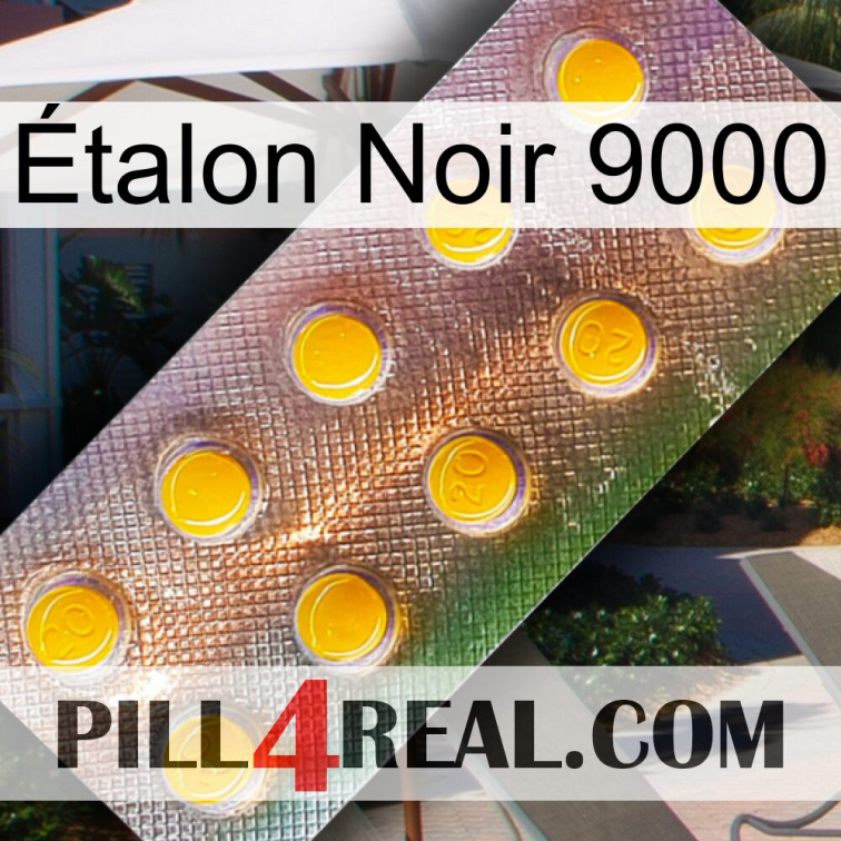 Étalon Noir 9000 new11